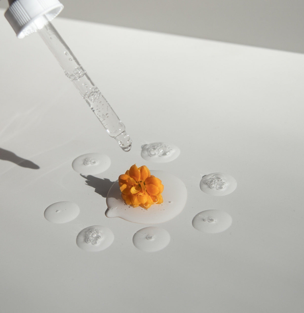 Toxic Chemicals to Avoid in Skincare and Cosmetics - Wild Health Wellness