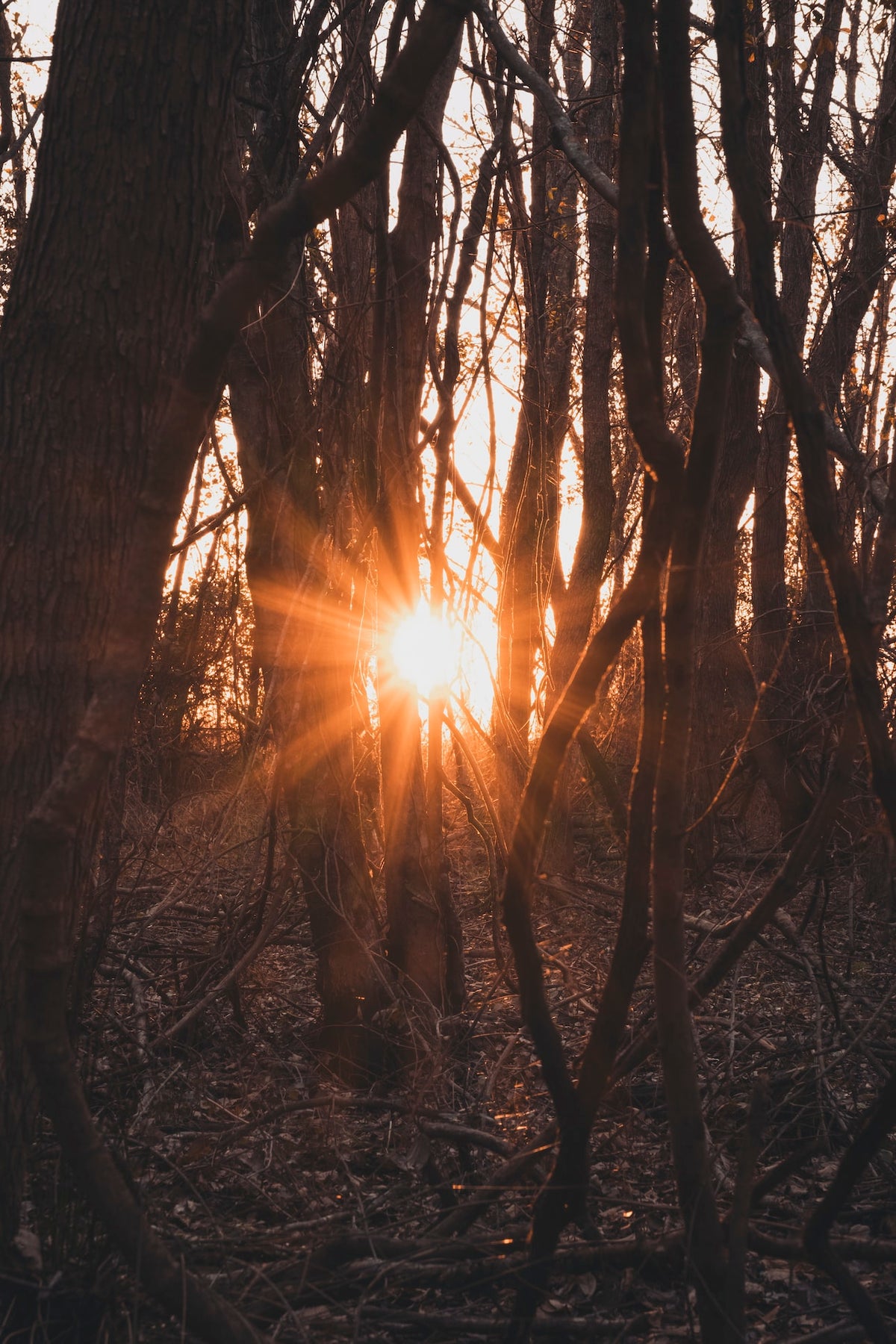 The low down on Vitamin D supplementation in Winter